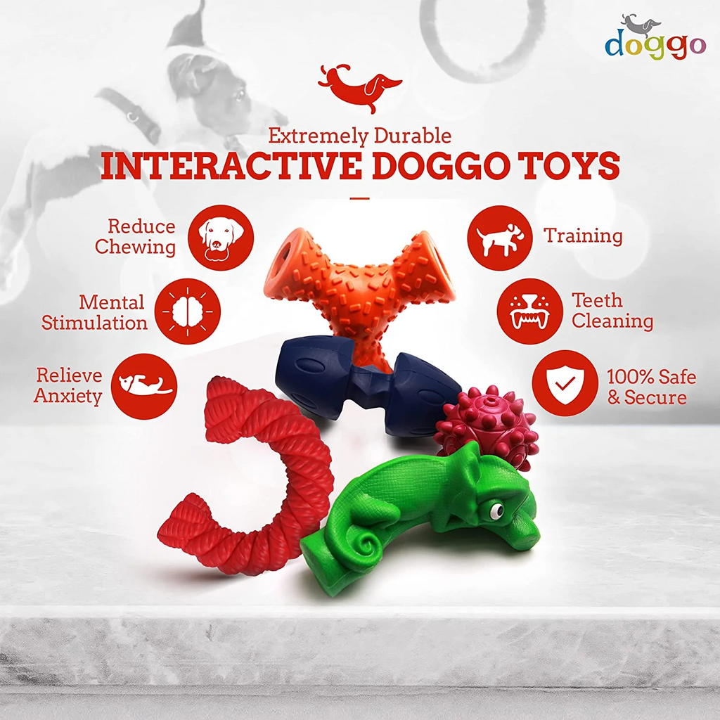 How to Train Dogs with the Help of Interactive Dog Toys?