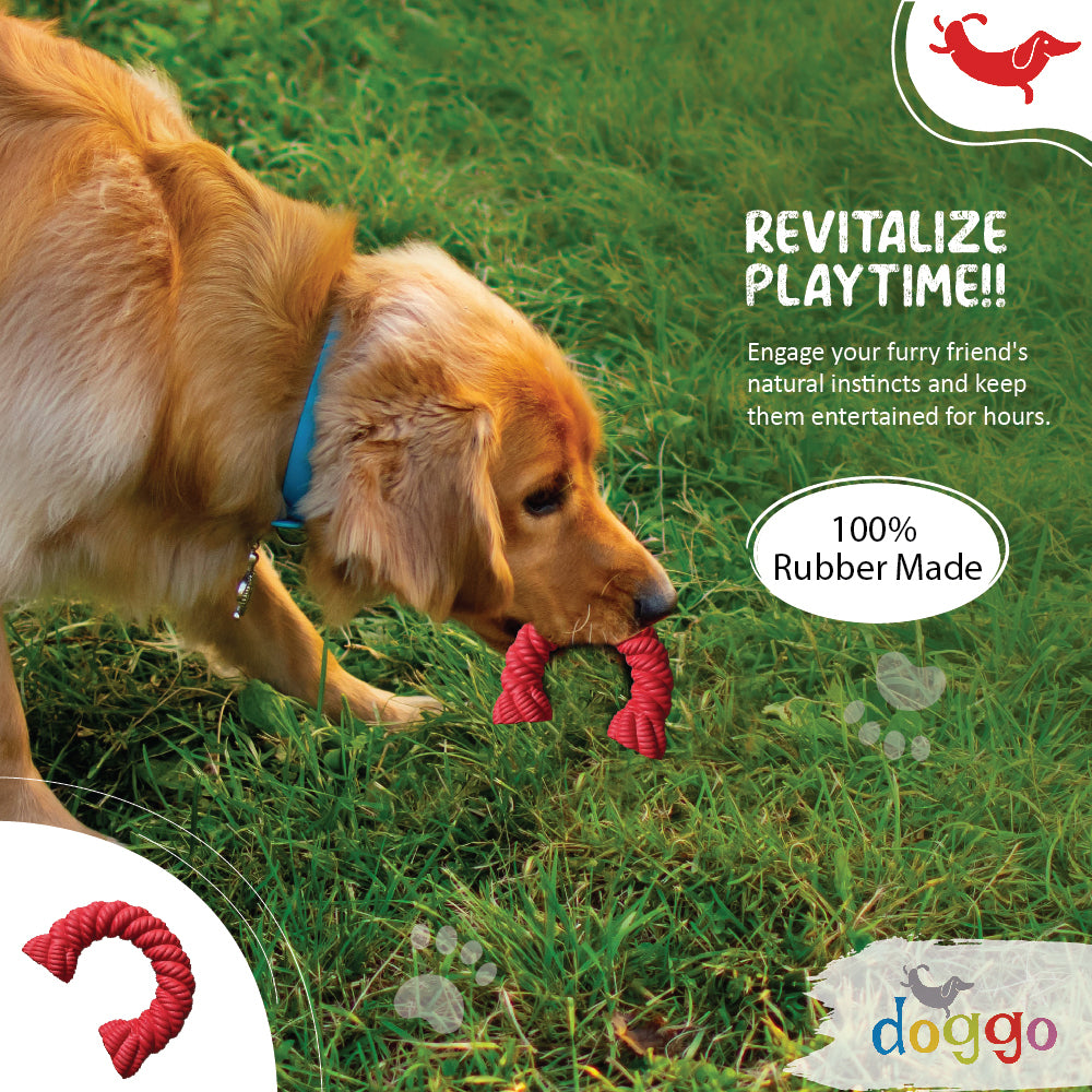 10 Fun Brain Games for Your Dog