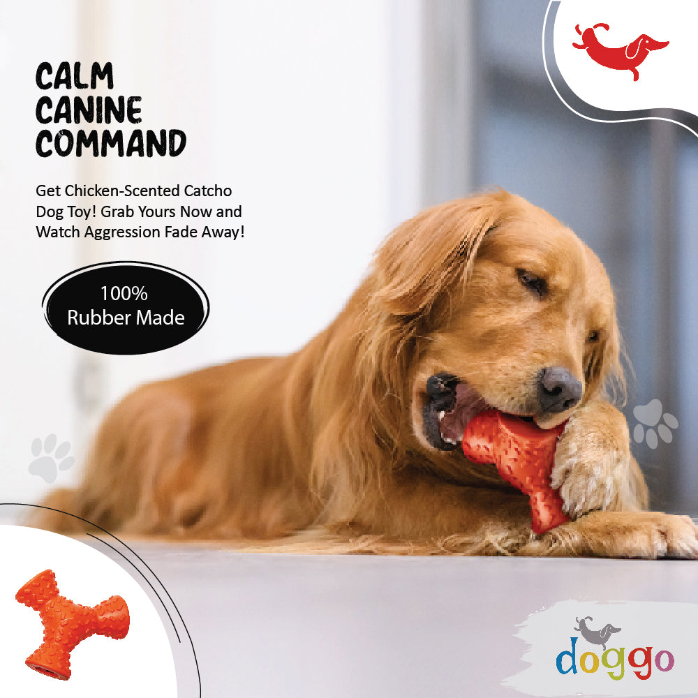 How a Dog's Mind Really Works: Dog Psychology 101