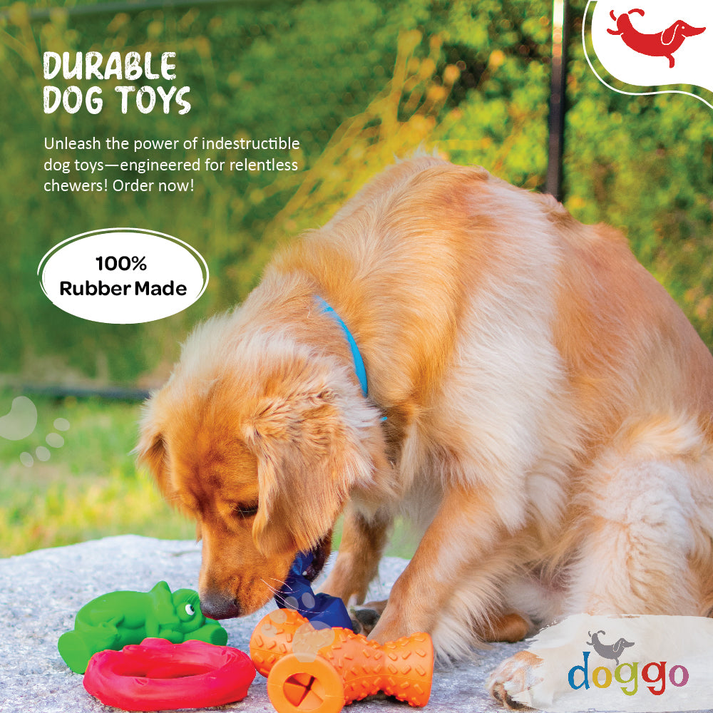 7 Best Interactive Dog Toys of 2024