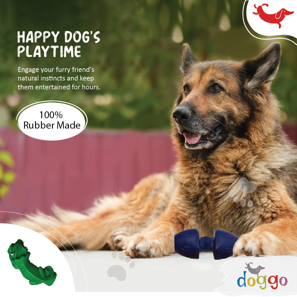 Ultimate Guide to Pet-Friendly Events