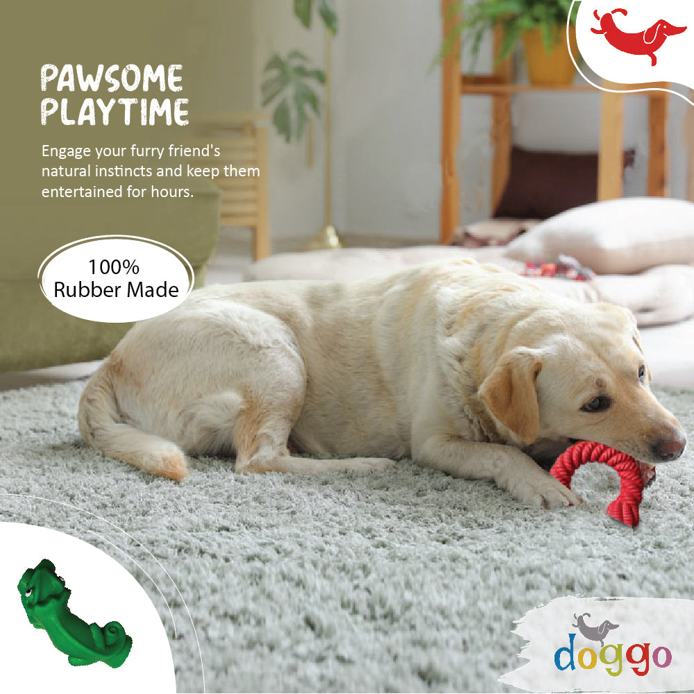 Dog First Aid Essentials: Be Prepared!