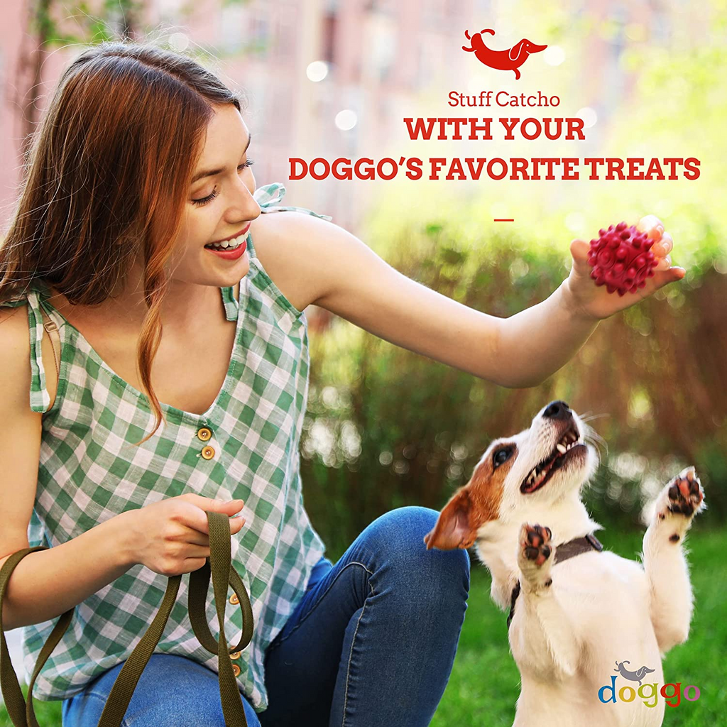 Dog Play Behaviour: The Good, The Bad & The Ugly