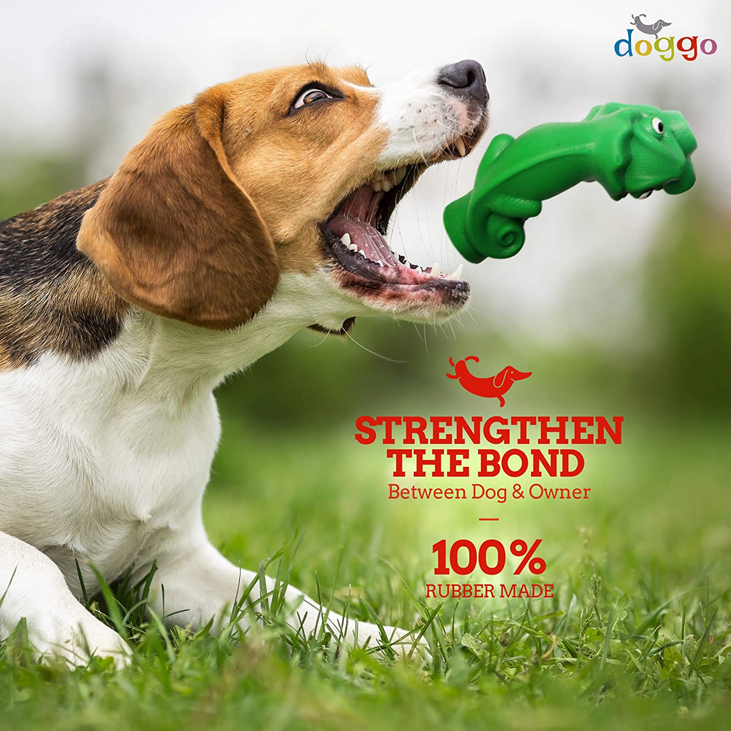 Top 10 Tips To Keep Your Dog Entertained With DIY Toys