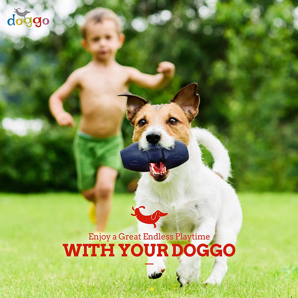 List of Fun Pet Activities Dog Owners Can Do Together