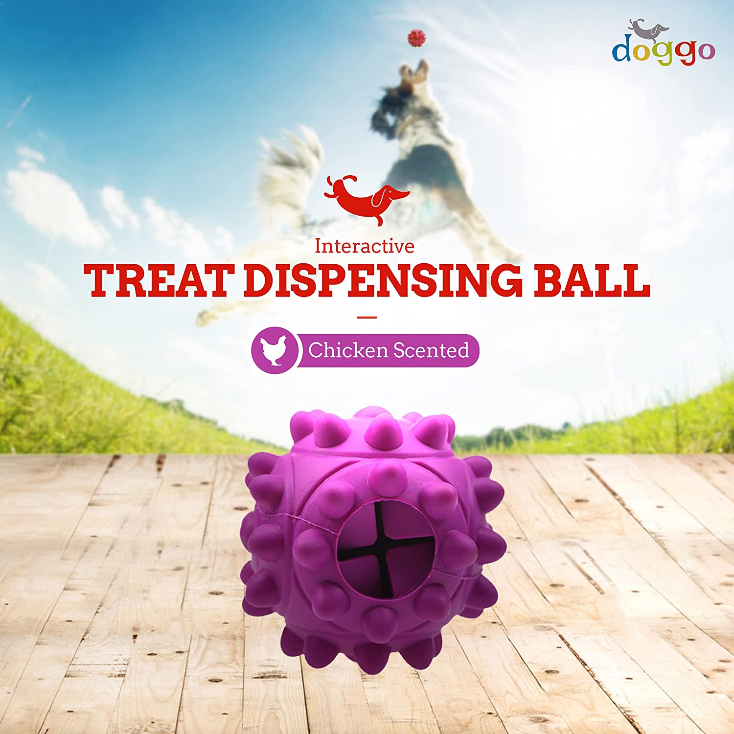 Treat Dispensing ball